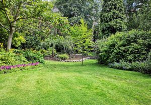 Optimiser l'expérience du jardin à Semur-en-Brionnais