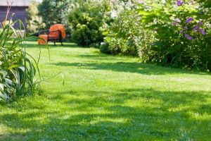 travaux jardin et paysage Semur-en-Brionnais